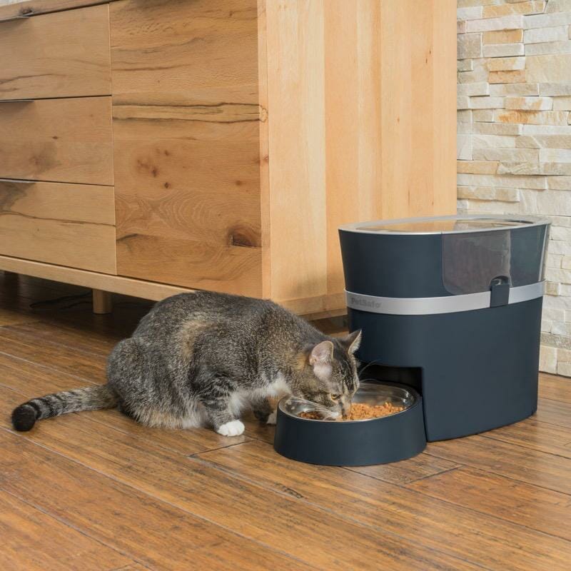 automatic-pet-feeder-food-dispenser-for-dogs-and-cats Automatic Pet Feeder Food Dispenser for Dogs and Cats
