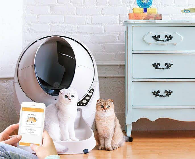 Litter Robot III Open Air with Connect