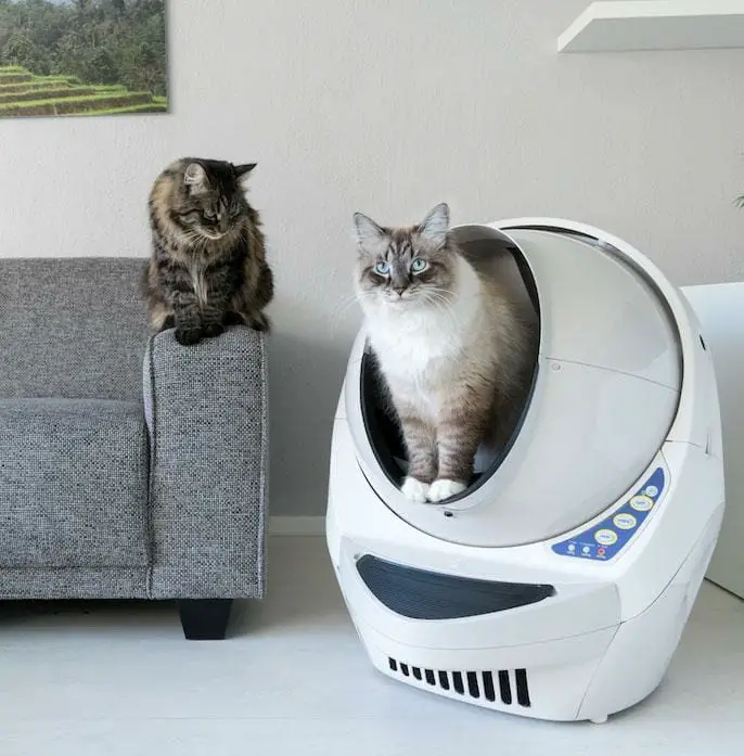 Introducing the Litter-Robot an Automatic Kitty Litter for 2022