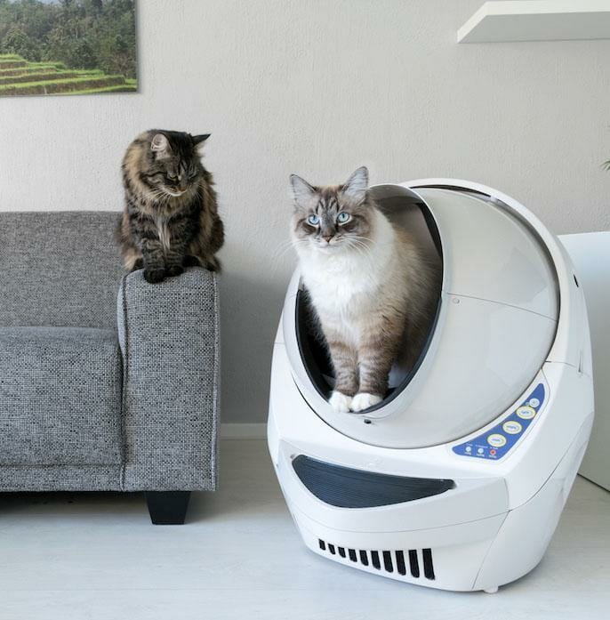 litter robot iii