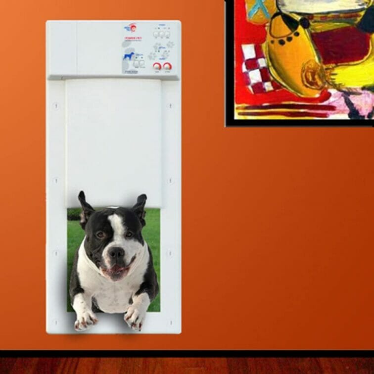 High Tech Pet Powered Electronic Pet Door Electronic Pet Door